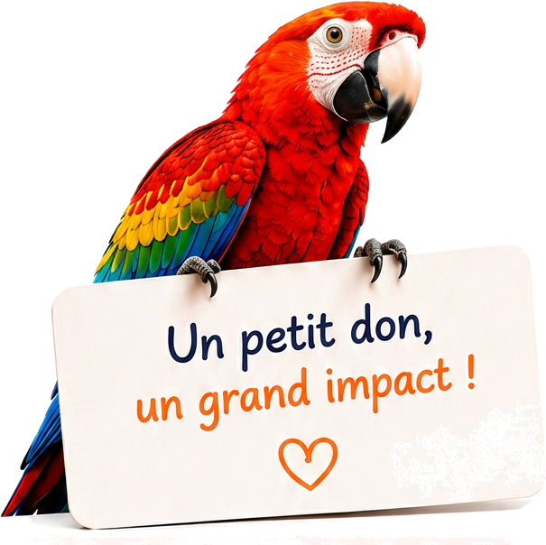 Perroquet coloré posant ses pattes sur une pancarte : Un petit don, un grand impact