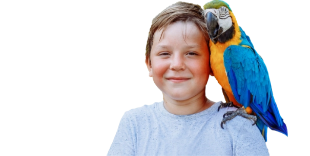 L'unique plateforme solidaire qui récompense les porteurs de projet !